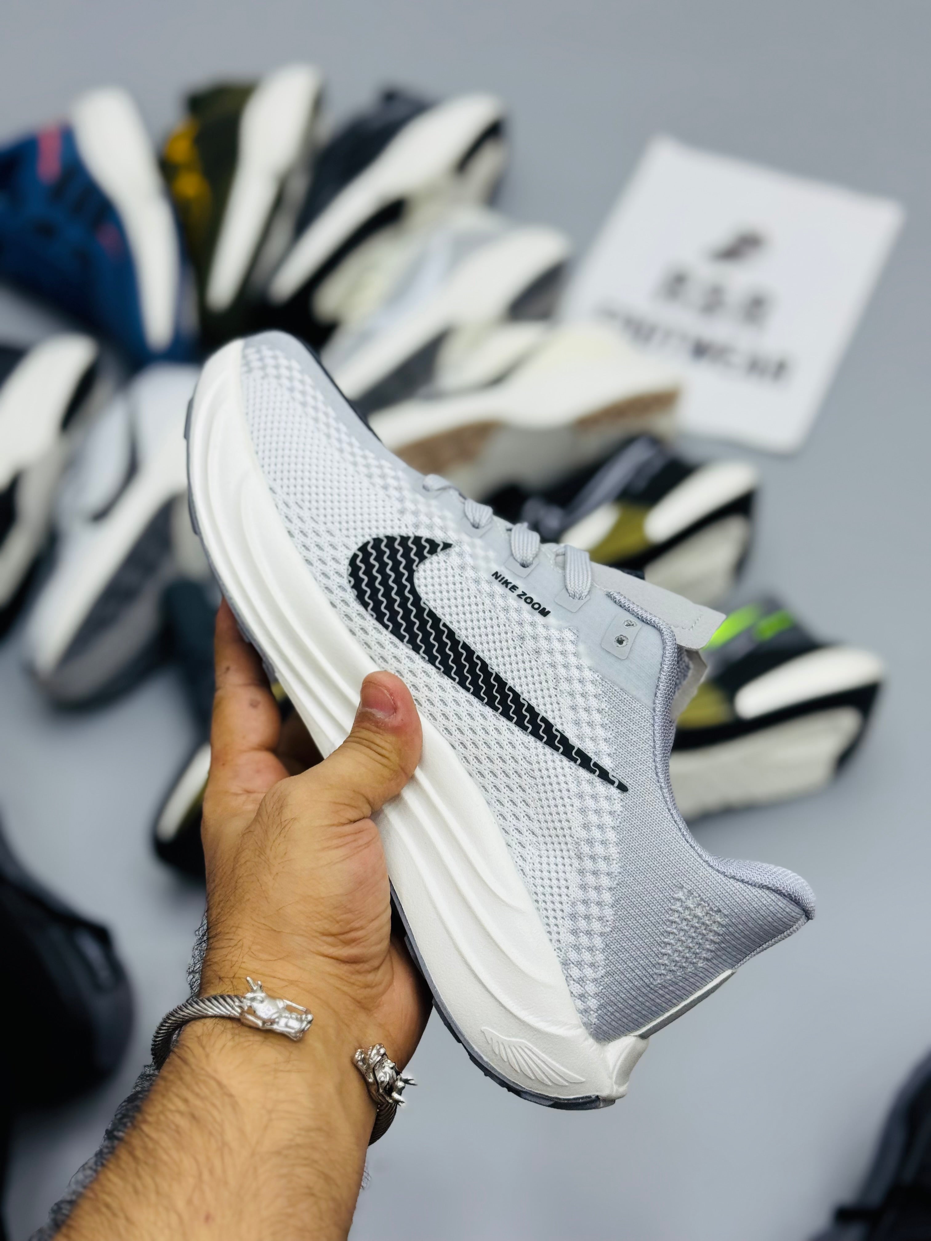 NZ Pegasus Plus