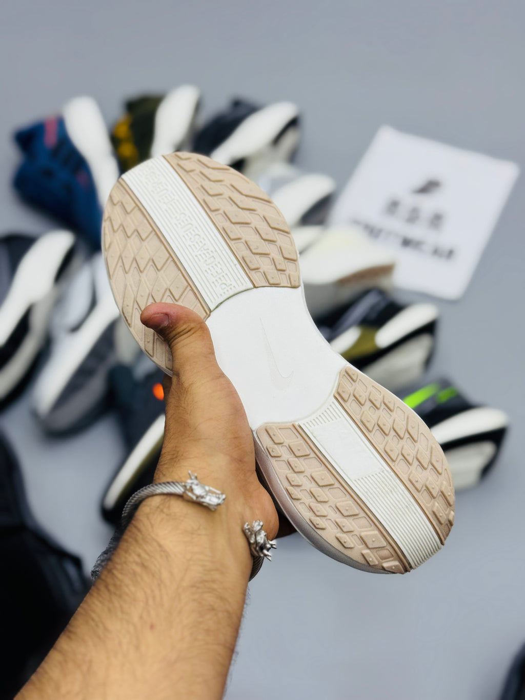 NZ Pegasus Plus