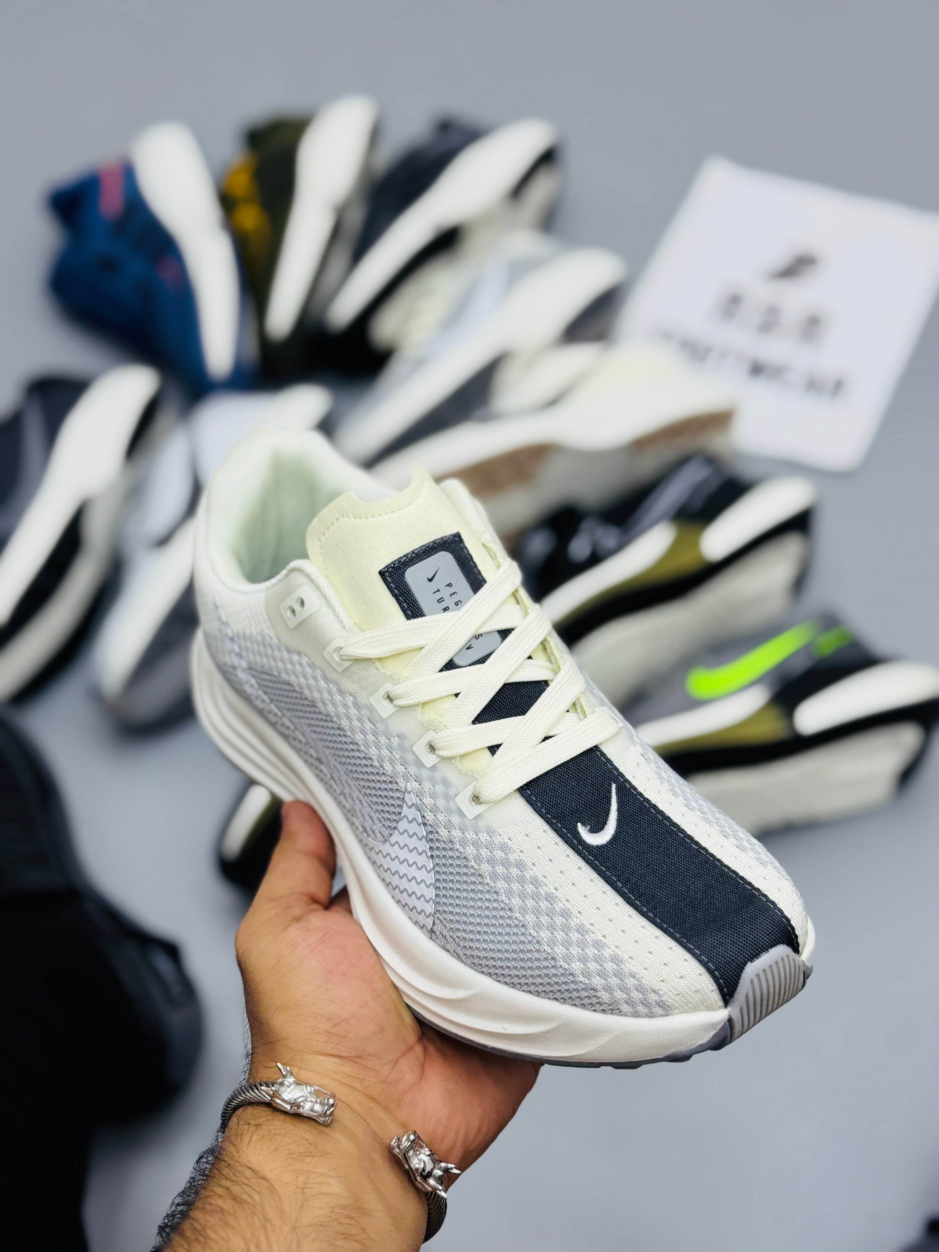 NZ Pegasus Plus