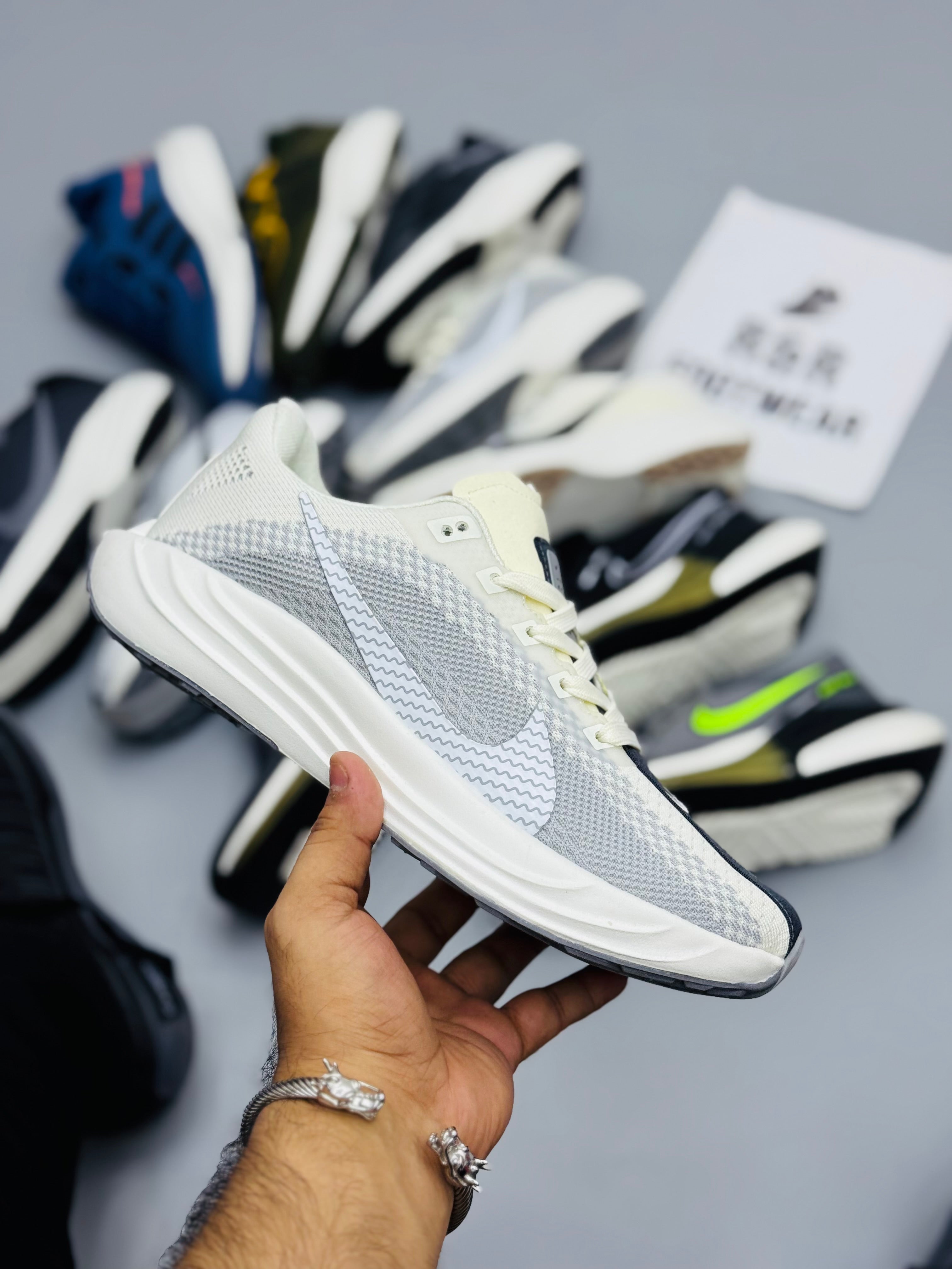 NZ Pegasus Plus