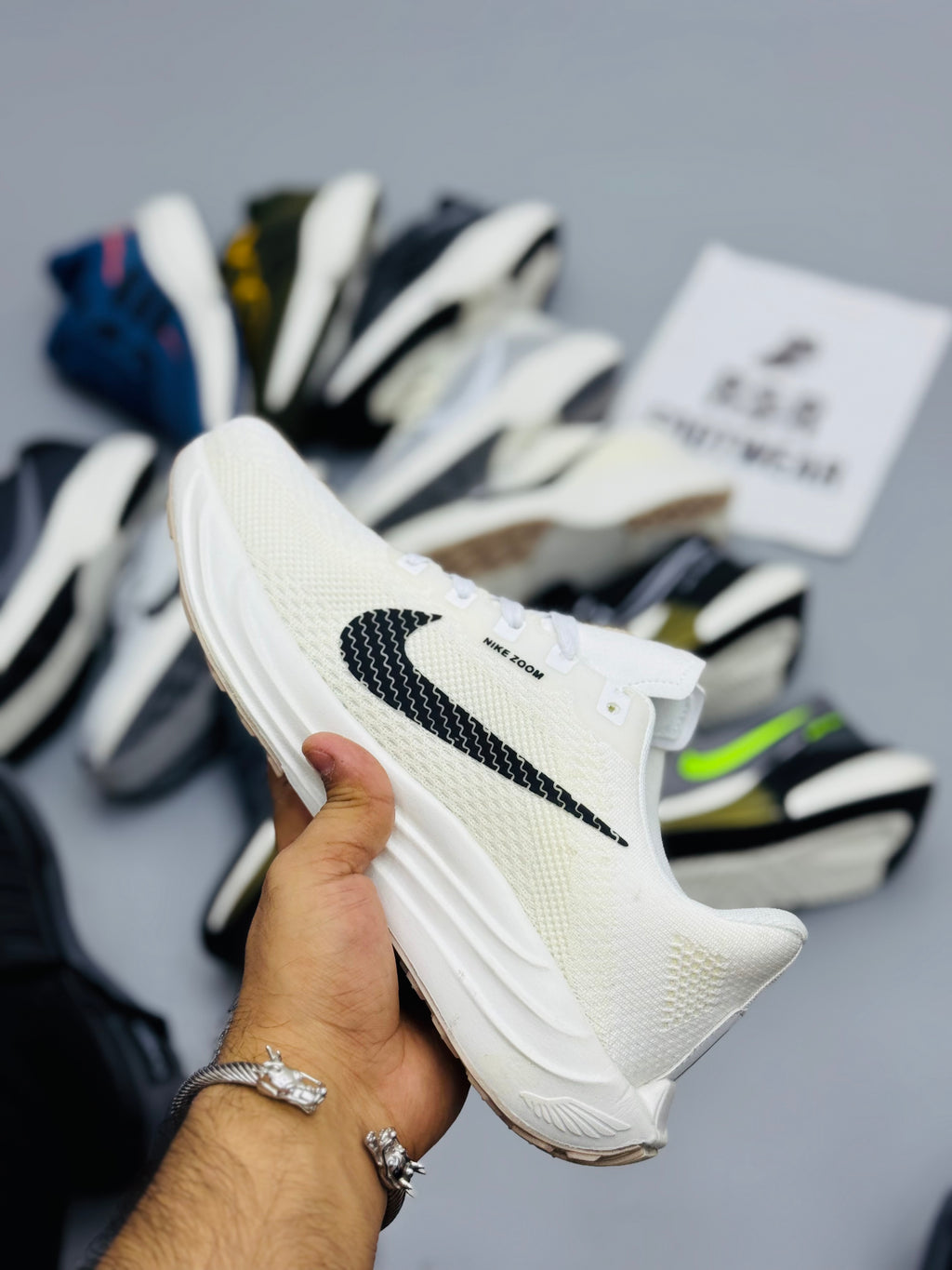 NZ Pegasus Plus