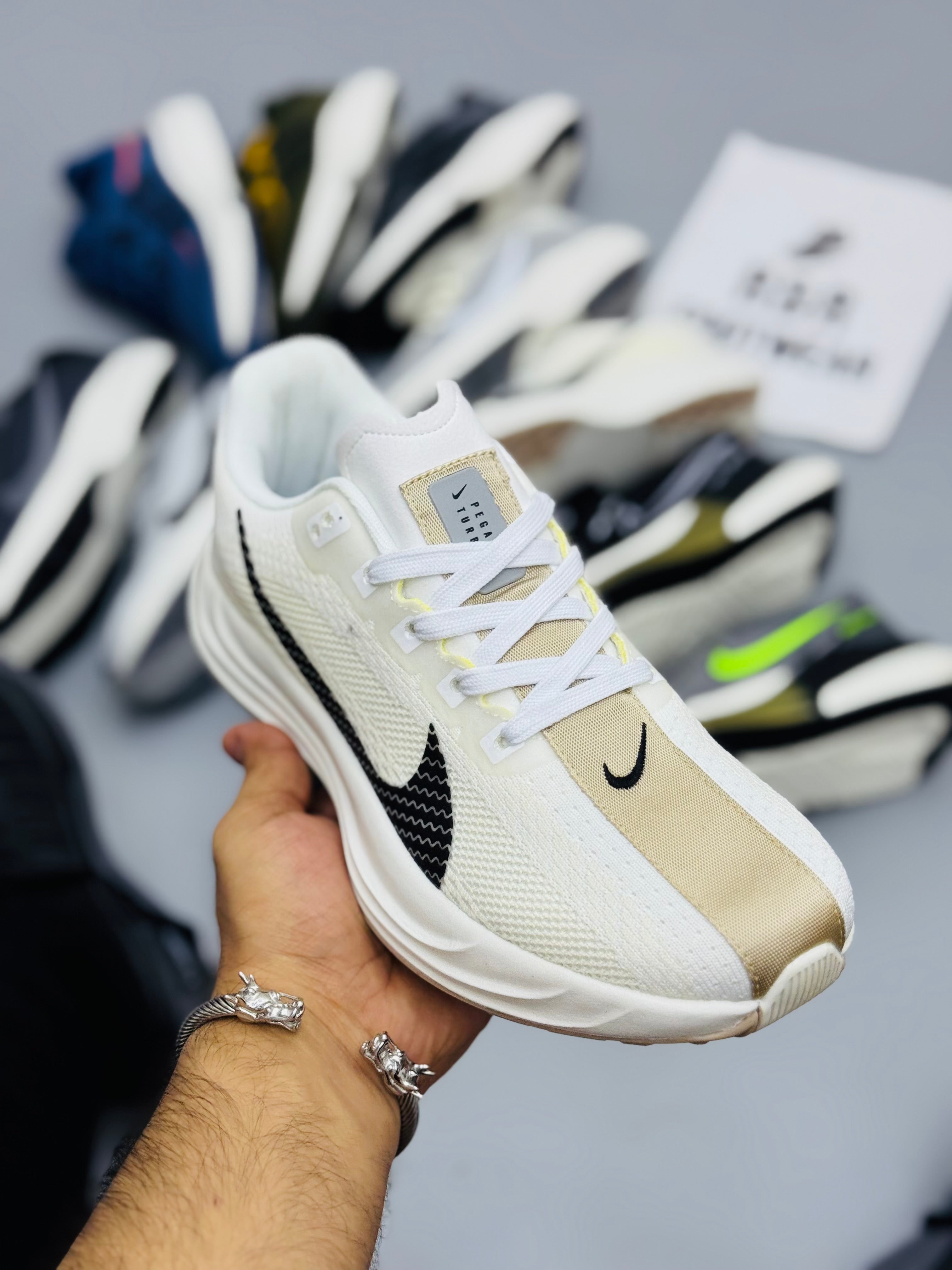 NZ Pegasus Plus